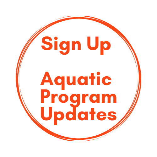 Aquatics YWCA